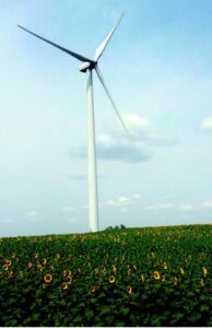 A white wind turbine over a field of blooming sunflowers. 