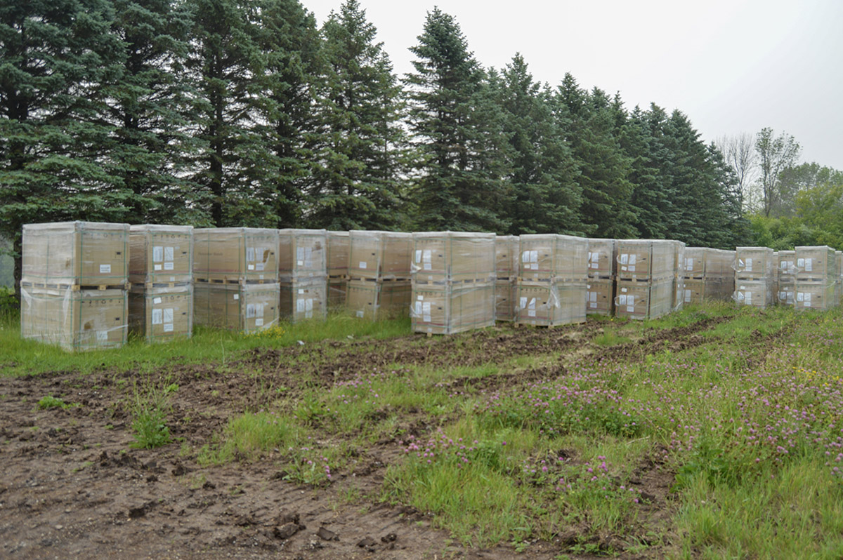 Boxes of solar supplies lined up along a line of trees in a field