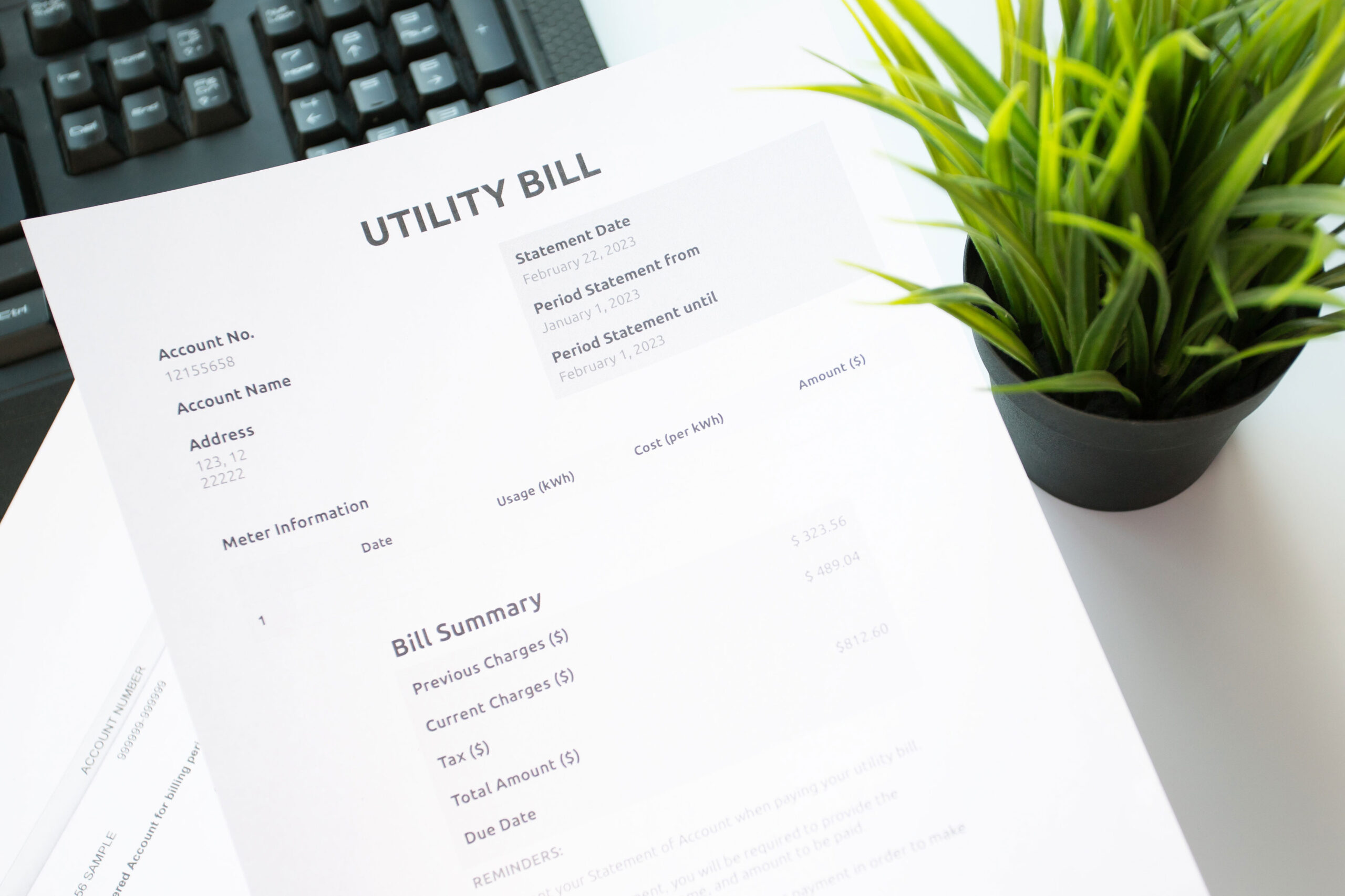 a generic utility bill
