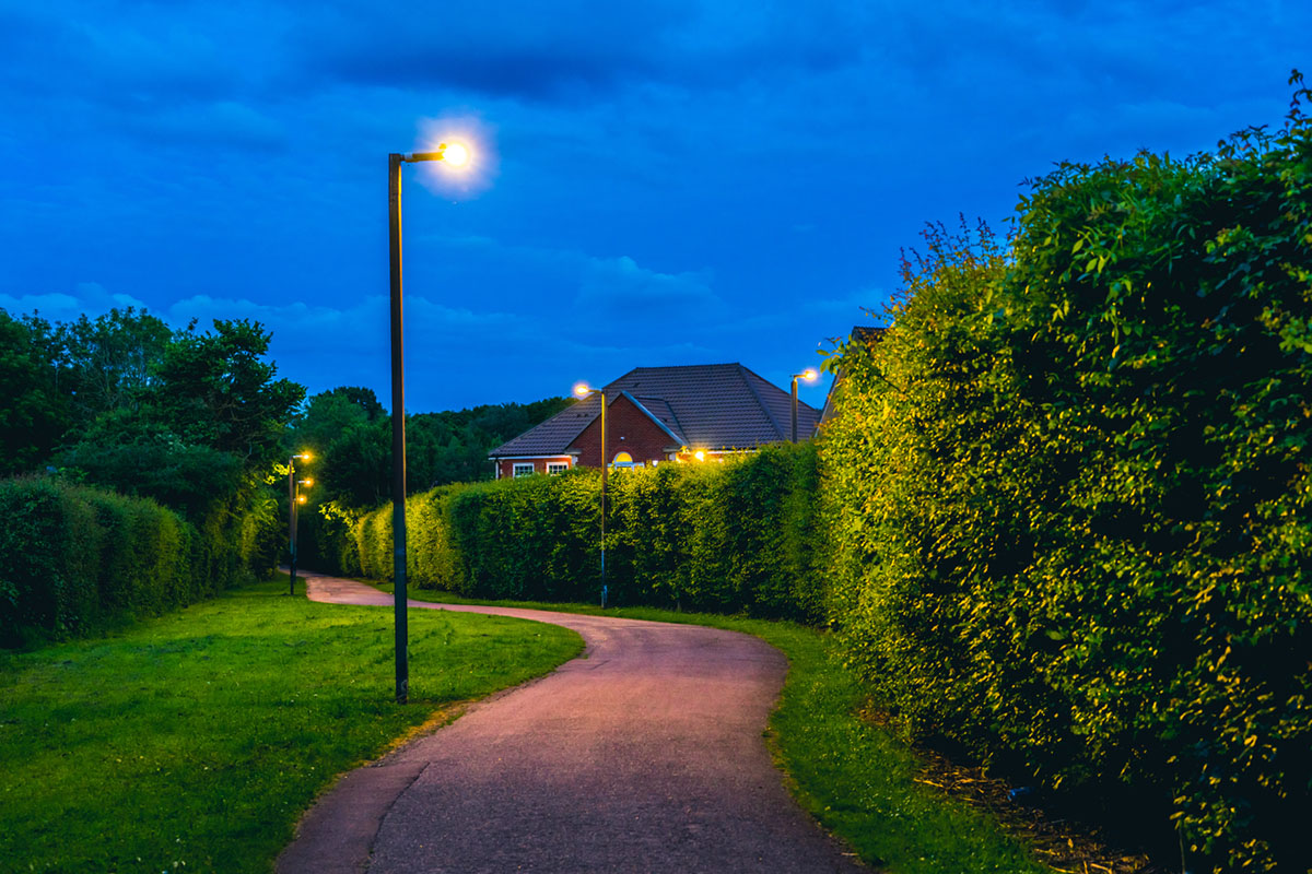 Streetlight and hedge lined path at dusk