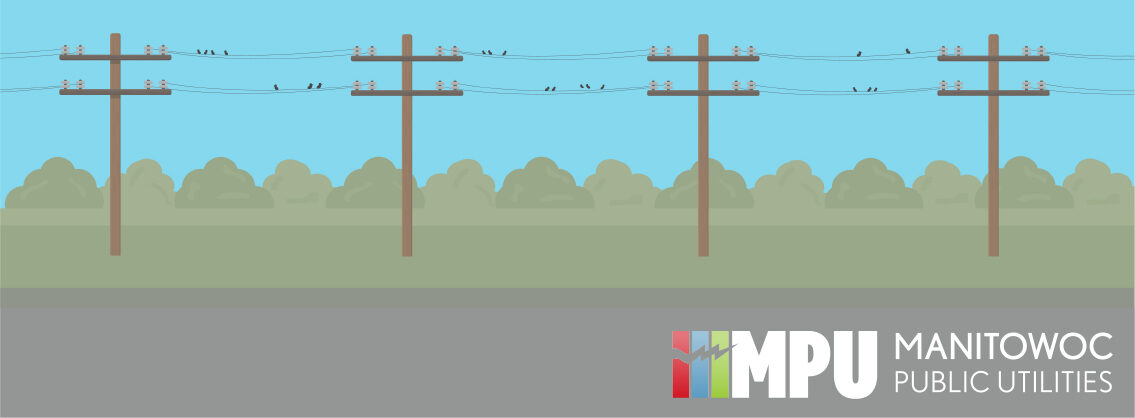 wooden pole inspection graphic